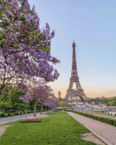 Aparis-spring-time-bttn300xxb.webp