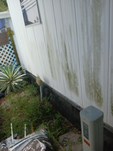 Trash behind vacant Mobile Home Lot #Mobil home Lot #110 katy-corner to 210