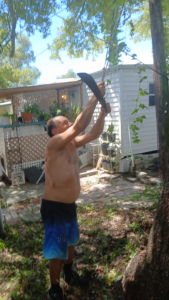Friend, Anthony, cutting vines after 6 months free the giant tree Lot #210 - Sept 13th 2026