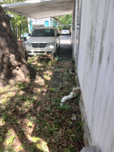 Back side replace plumbing required by tree root damage - Lot #210 outside new plumbing
