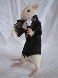 rato-books