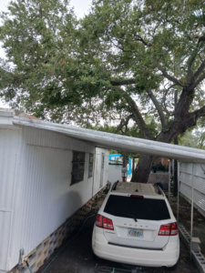 TREE OVER Lot #210 Sept 2026 -photo B