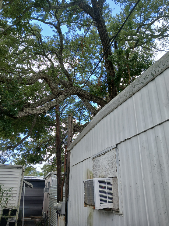 wire-1-d-house-tree-wire.webp