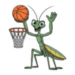 big-bad-hooper-cricket